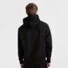 Felpa con cappuccio Reverse Weave Small C